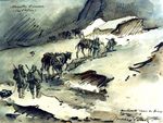Monte Cimone - Val D'Astico - Conducenti verso le linee - 1918